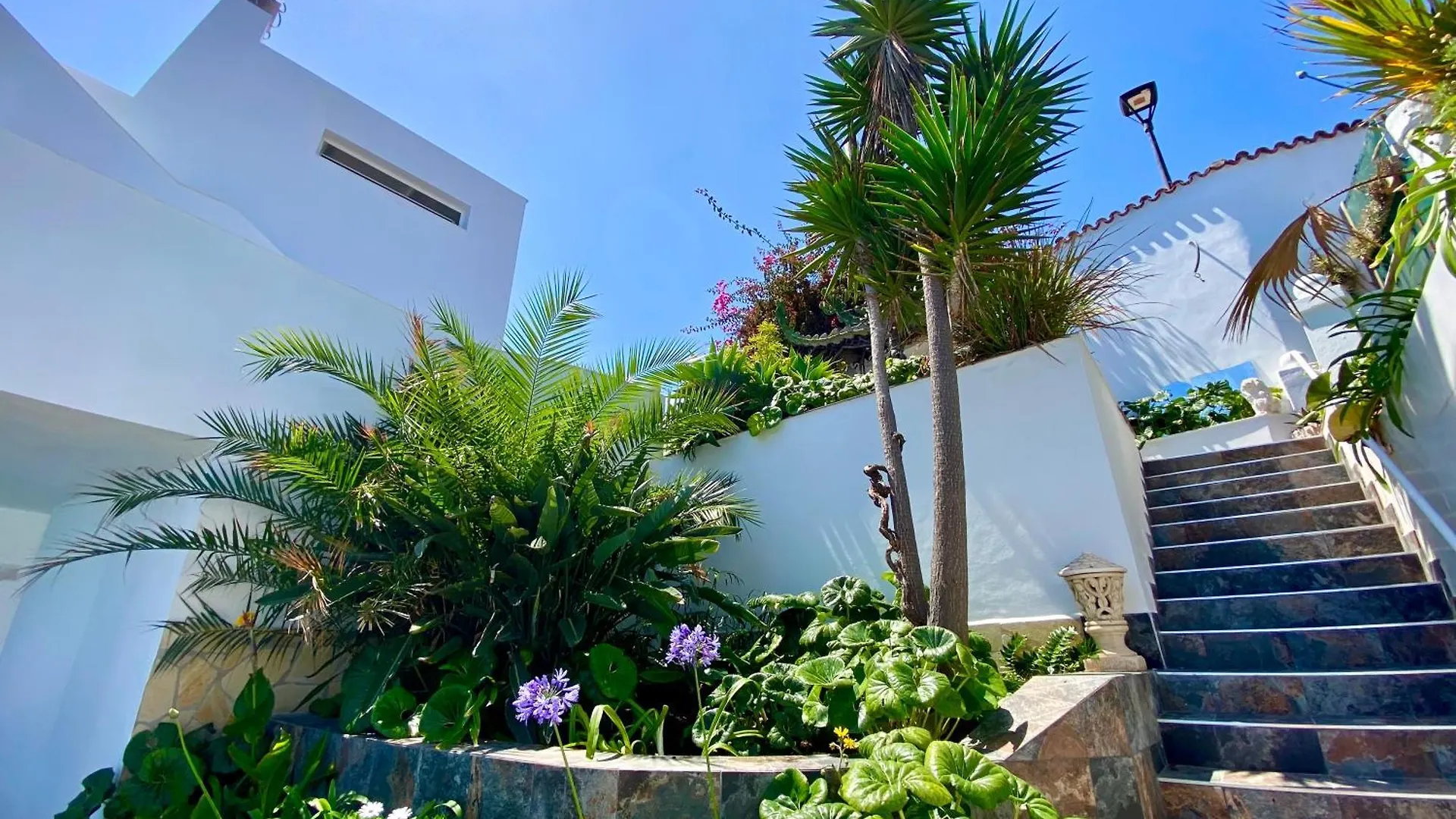 Villa Oasis La Paz - Pelicar Apartment - Adults Only - Puerto de la Cruz  0*, Puerto de la Cruz (Tenerife) Španělsko